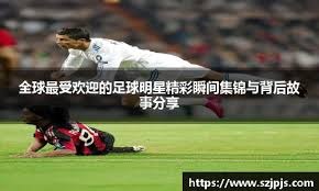 王博强势包夹战术奏效 杨鸣难以反制辽篮